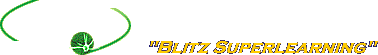 Blitz Superlearning 